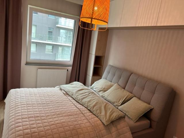 Apartament Mieszczanski Klima-Parkigfree2X-Netflix-Youtube Breslavia Exterior foto